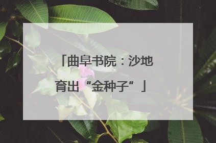 曲阜书院：沙地育出“金种子”
