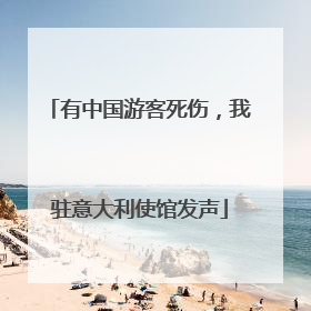 有中国游客死伤，我驻意大利使馆发声