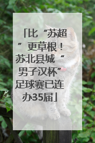 比“苏超”更草根！苏北县城“男子汉杯”足球赛已连办35届