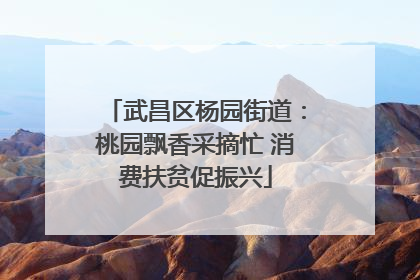 武昌区杨园街道：桃园飘香采摘忙 消费扶贫促振兴