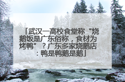 武汉一高校食堂称“烧鹅饭是广东俗称，食材为烤鸭”？广东多家烧鹅店：鸭是鸭鹅是鹅