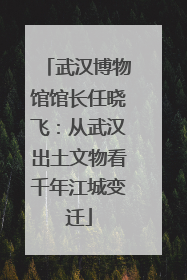 武汉博物馆馆长任晓飞：从武汉出土文物看千年江城变迁