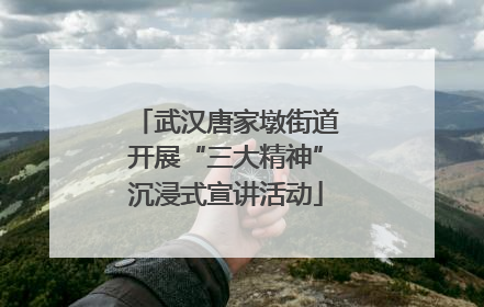 武汉唐家墩街道开展“三大精神”沉浸式宣讲活动