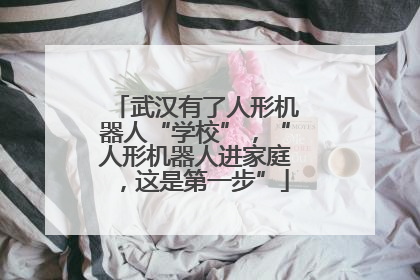 武汉有了人形机器人“学校”，“人形机器人进家庭，这是第一步”