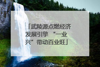 武陵源点燃经济发展引擎 “一业兴”带动百业旺