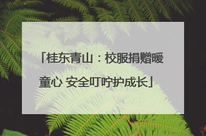 桂东青山：校服捐赠暖童心 安全叮咛护成长