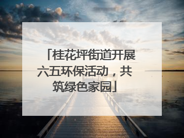 桂花坪街道开展六五环保活动，共筑绿色家园