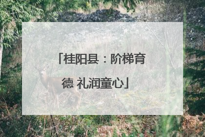 桂阳县：阶梯育德 礼润童心