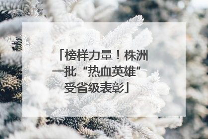 榜样力量！株洲一批“热血英雄”受省级表彰