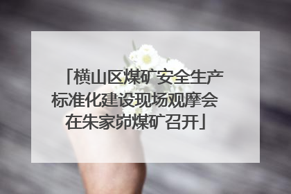 横山区煤矿安全生产标准化建设现场观摩会在朱家峁煤矿召开