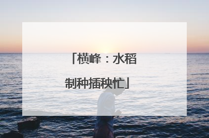 横峰：水稻制种插秧忙