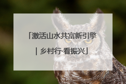 激活山水共富新引擎｜乡村行·看振兴