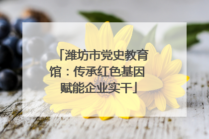 潍坊市党史教育馆：传承红色基因 赋能企业实干