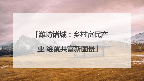 潍坊诸城：乡村富民产业 绘就共富新图景