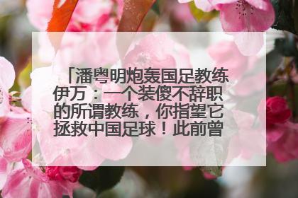 潘粤明炮轰国足教练伊万：一个装傻不辞职的所谓教练，你指望它拯救中国足球！此前曾多次发文评价国足