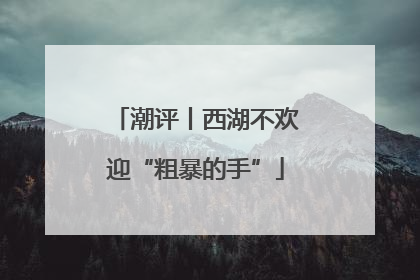 潮评丨西湖不欢迎“粗暴的手”