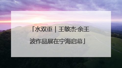 水双重｜王敏杰·余王波作品展在宁海启幕