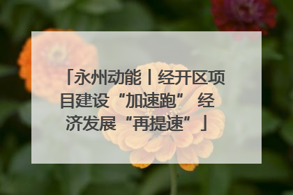永州动能丨经开区项目建设“加速跑” 经济发展“再提速”