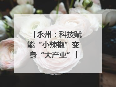 永州：科技赋能“小辣椒”变身“大产业”