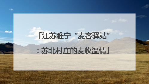 江苏睢宁“麦客驿站”：苏北村庄的麦收温情