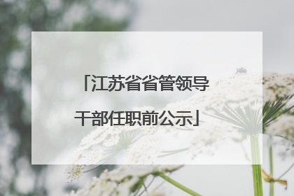 江苏省省管领导干部任职前公示