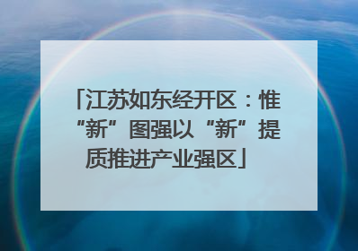 江苏如东经开区：惟“新”图强以“新”提质推进产业强区
