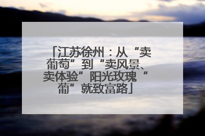 江苏徐州：从“卖葡萄”到“卖风景、卖体验”阳光玫瑰“葡”就致富路