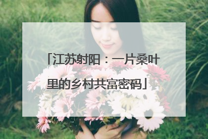 江苏射阳：一片桑叶里的乡村共富密码