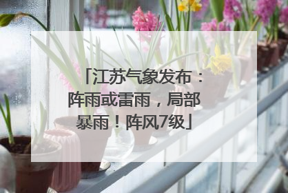 江苏气象发布：阵雨或雷雨，局部暴雨！阵风7级