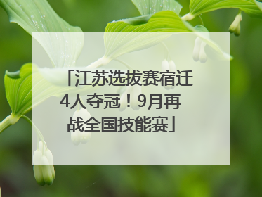 江苏选拔赛宿迁4人夺冠！9月再战全国技能赛