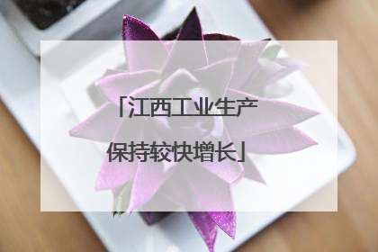 江西工业生产保持较快增长