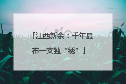 江西新余：千年夏布一支独“绣”