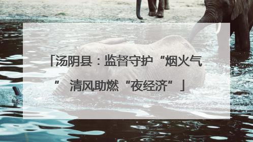 汤阴县：监督守护“烟火气” 清风助燃“夜经济”