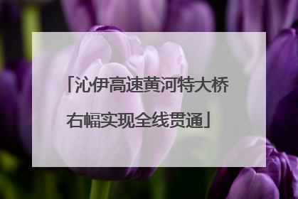 沁伊高速黄河特大桥右幅实现全线贯通