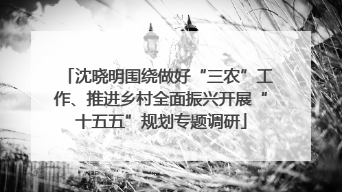 沈晓明围绕做好“三农”工作、推进乡村全面振兴开展“十五五”规划专题调研