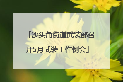 沙头角街道武装部召开5月武装工作例会