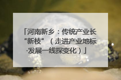 河南新乡：传统产业长“新枝”（走进产业地标·发展一线探变化）