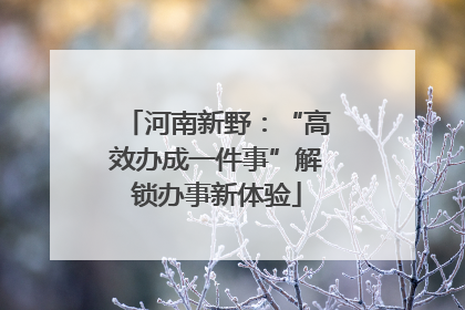 河南新野：“高效办成一件事”解锁办事新体验