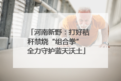 河南新野：打好秸秆禁烧“组合拳” 全力守护蓝天沃土