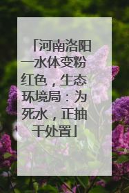 河南洛阳一水体变粉红色，生态环境局：为死水，正抽干处置