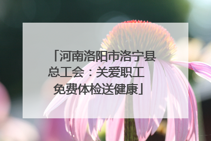 河南洛阳市洛宁县总工会：关爱职工 免费体检送健康