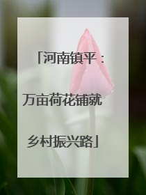 河南镇平：万亩荷花铺就乡村振兴路