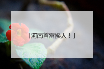 河南首富换人！