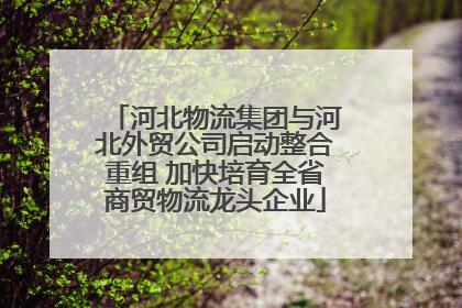 河北物流集团与河北外贸公司启动整合重组 加快培育全省商贸物流龙头企业