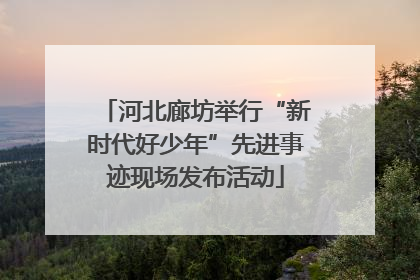 河北廊坊举行“新时代好少年”先进事迹现场发布活动