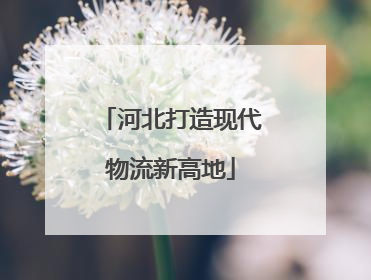河北打造现代物流新高地