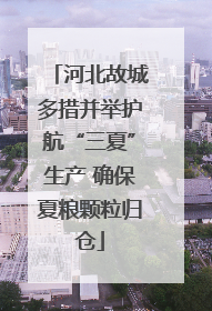 河北故城多措并举护航“三夏”生产 确保夏粮颗粒归仓