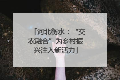 河北衡水：“交农融合”为乡村振兴注入新活力