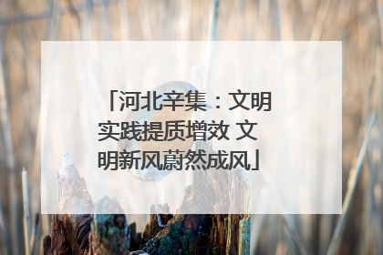 河北辛集：文明实践提质增效 文明新风蔚然成风