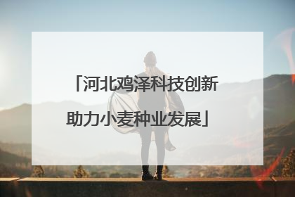 河北鸡泽科技创新助力小麦种业发展